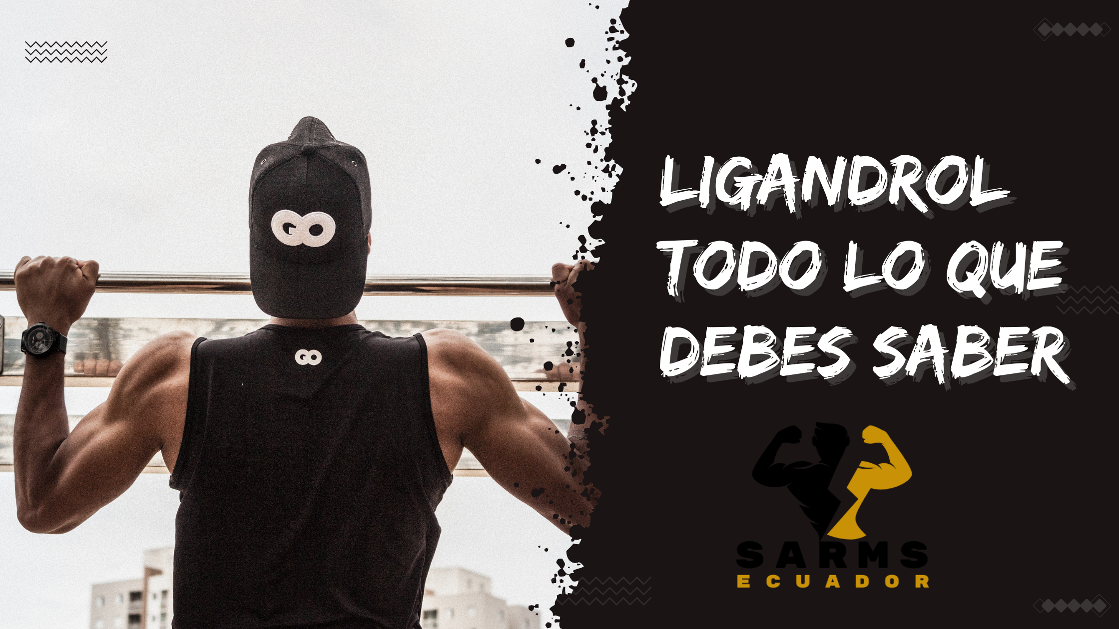 ligandrol